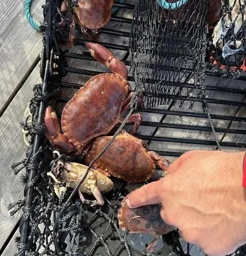 Hébergement de vacances Historic Cabin By The Atlantic Ocean Road Vevang