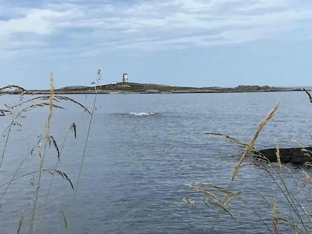 Hébergement de vacances Historic Cabin By The Atlantic Ocean Road Vevang