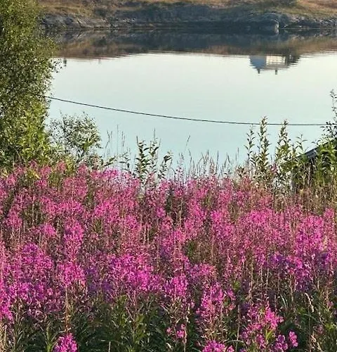 Casa vacanze Historic Cabin By The Atlantic Ocean Road Vevang